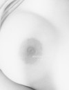 Фотография №3758043
